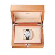 Relógio Omega SEAMASTER AQUA TERRA 220.12.41.21.02.002 41 mm